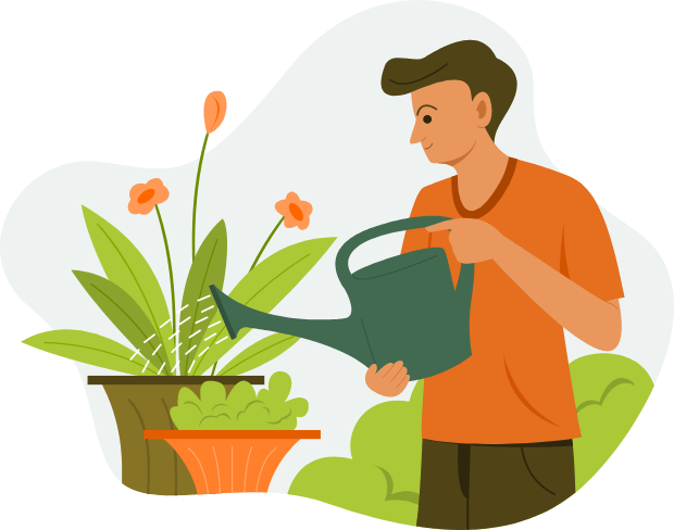 plant